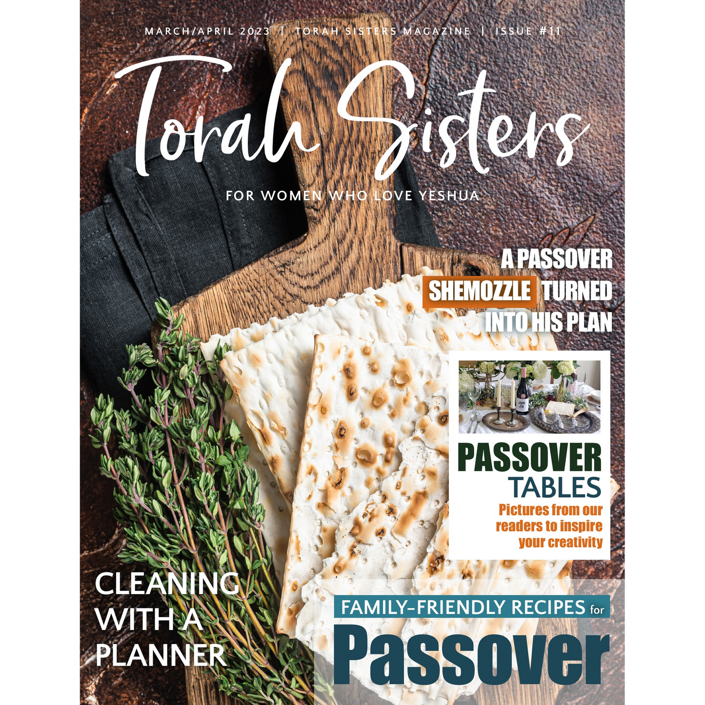 March/April 2023 #11 Torah Sisters Magazine