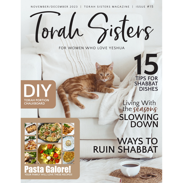 November/December 2023 #15 Torah Sisters Magazine