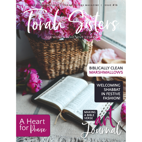 January/February 2024 Issue #16 Torah Sisters Magazine