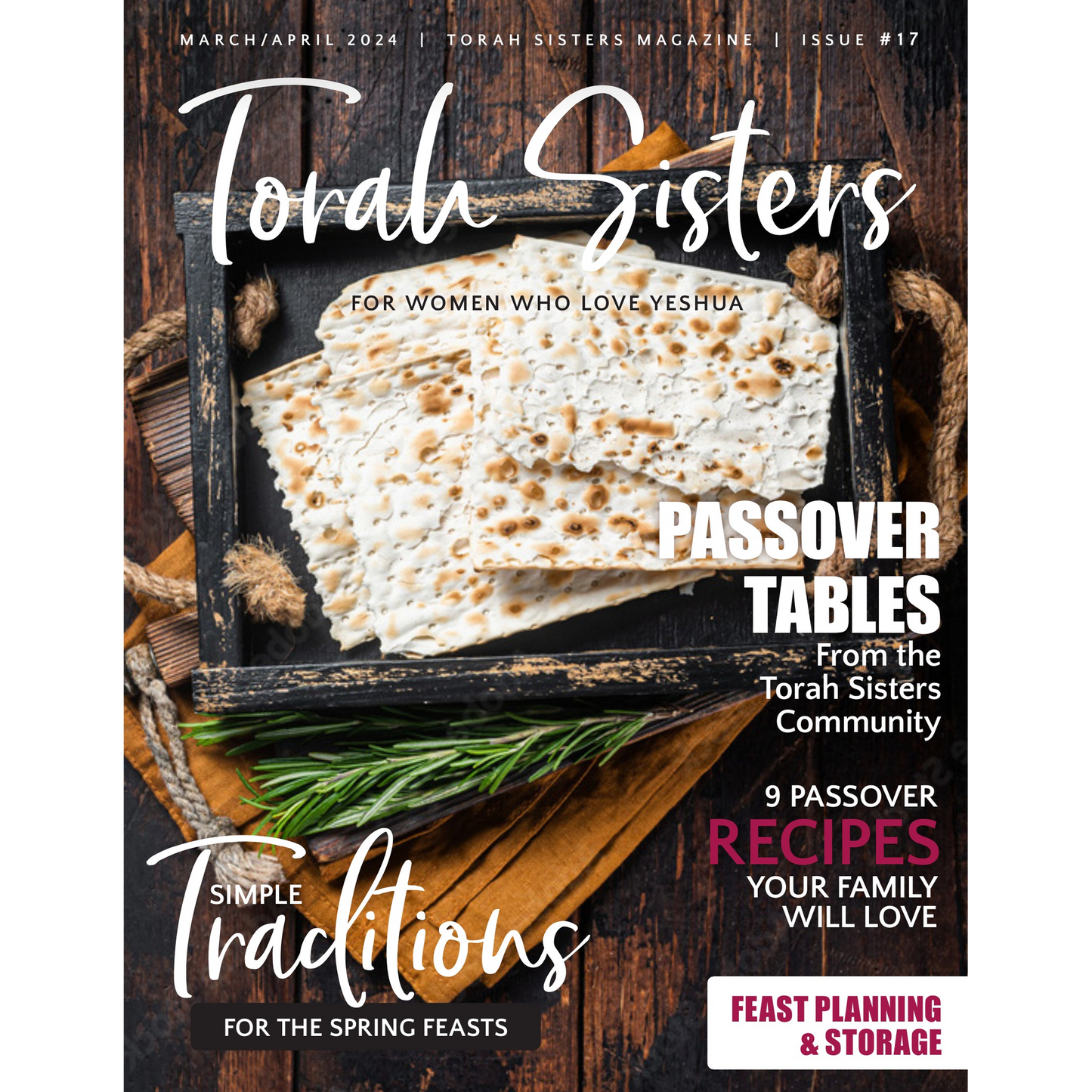 March/April 2024 Issue #17 Torah Sisters Magazine