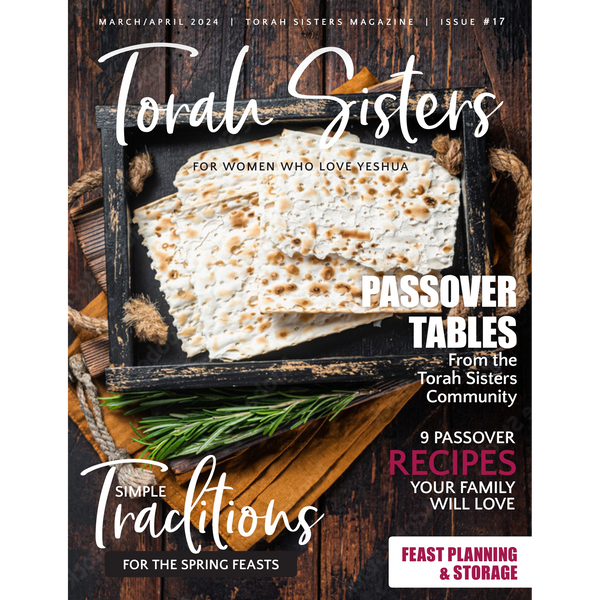 March/April 2024 Issue #17 Torah Sisters Magazine
