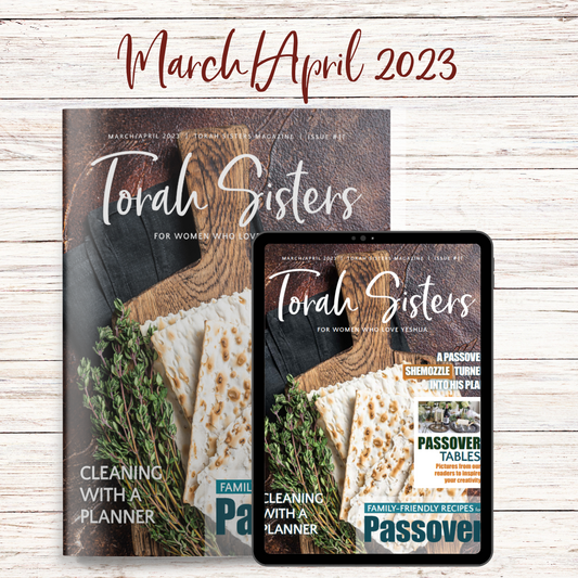 All Back Issues β Torah Sisters
