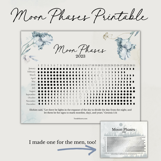 Moon Phases 2023