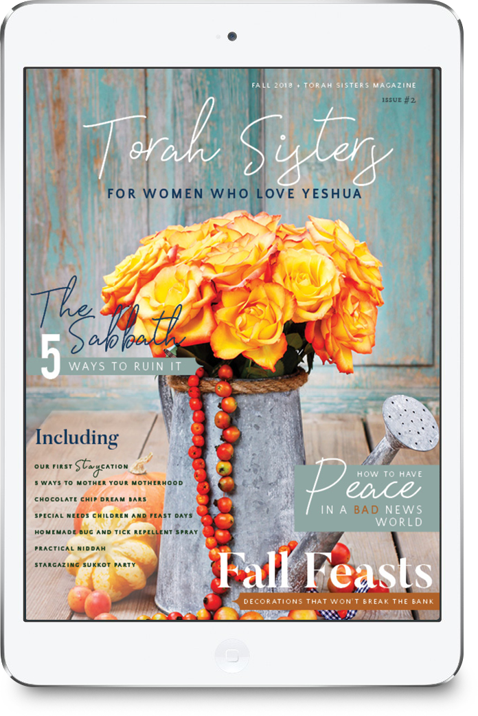 Fall 2018 pdf Digital Issue of Torah Sisters Magazine