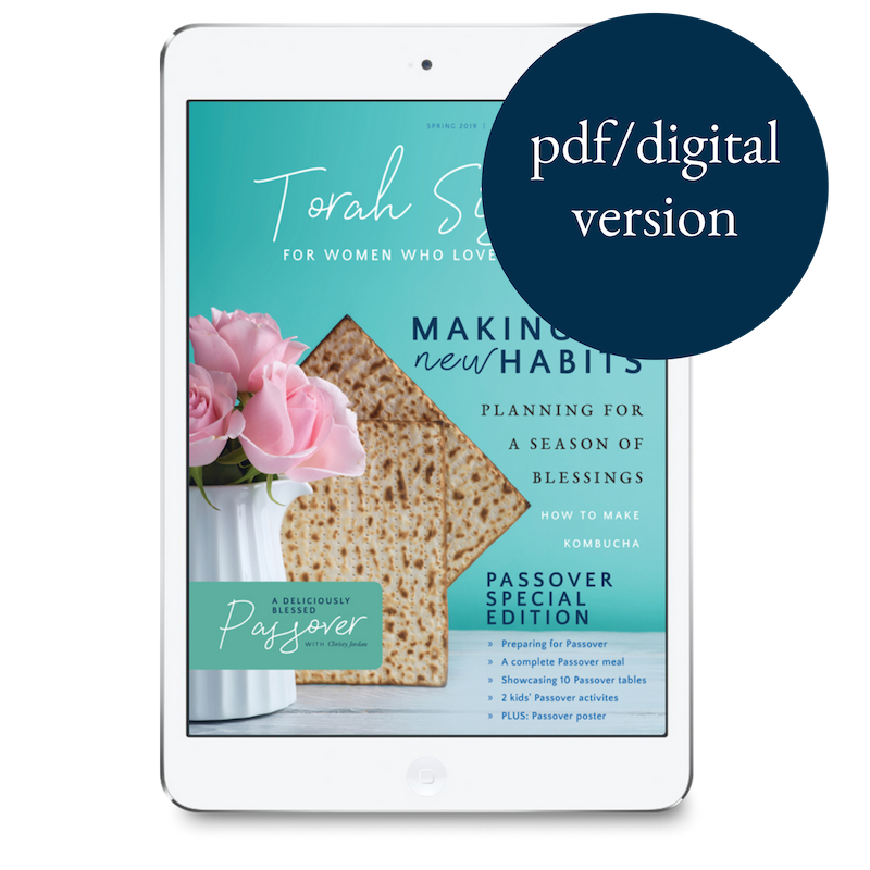 Spring 2019 pdf Digital Issue of Torah Sisters Magazine