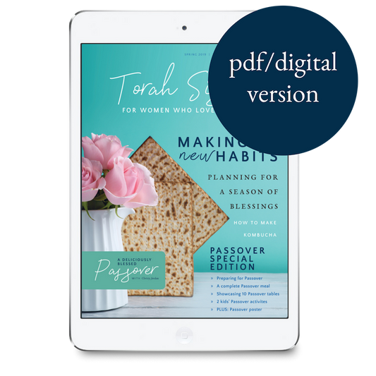 Spring 2019 pdf Digital Issue of Torah Sisters Magazine